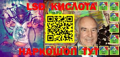 шишки Абакан