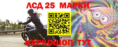 шишки Абакан