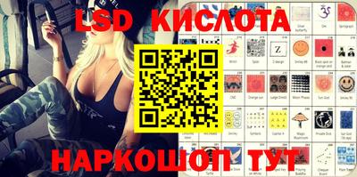 шишки Абакан